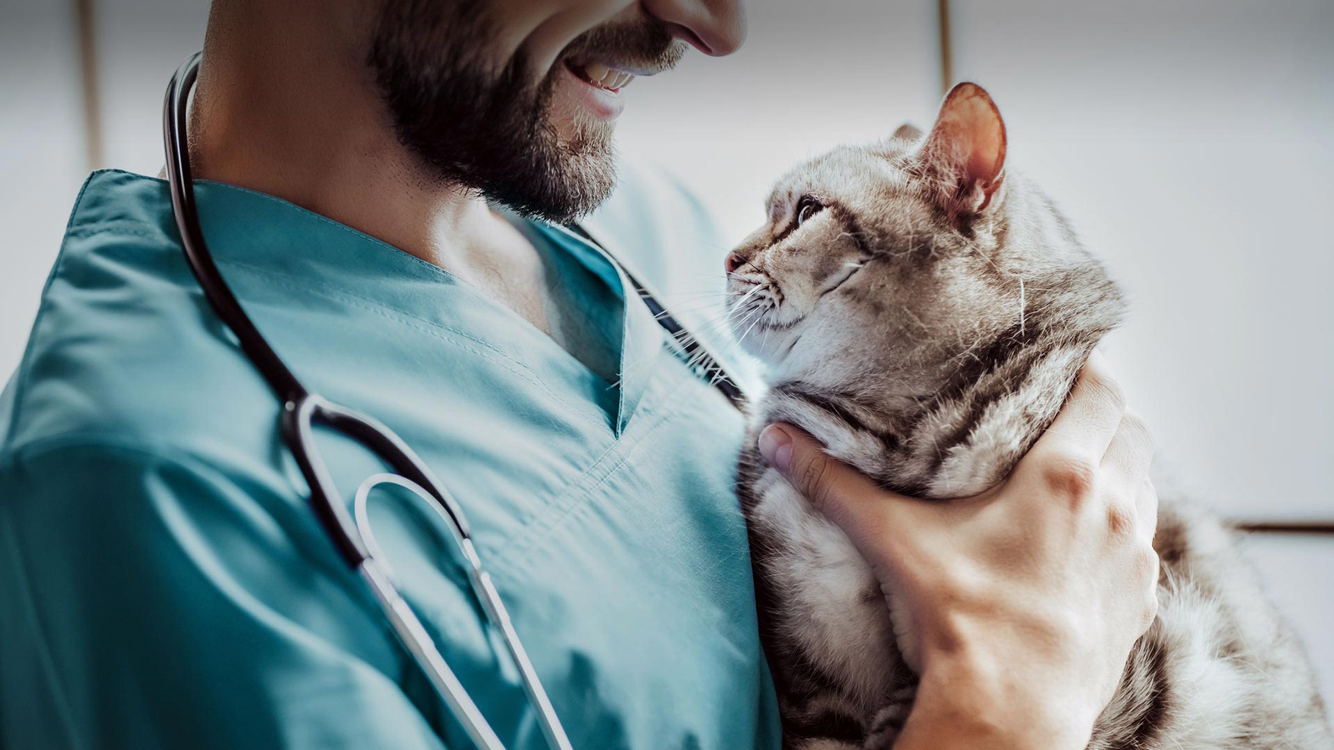 Harmancık Veteriner